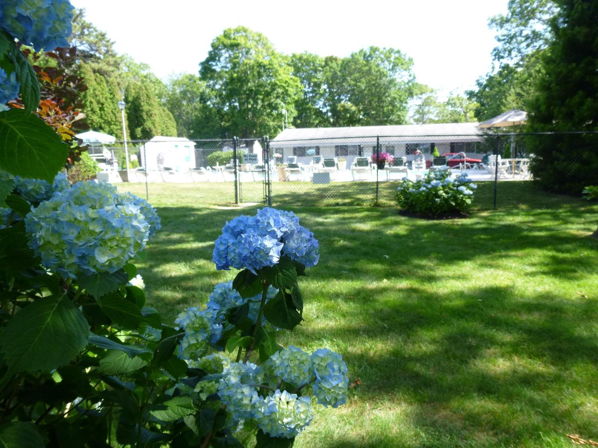 Falmouth Heights Motor Lodge Экстерьер фото